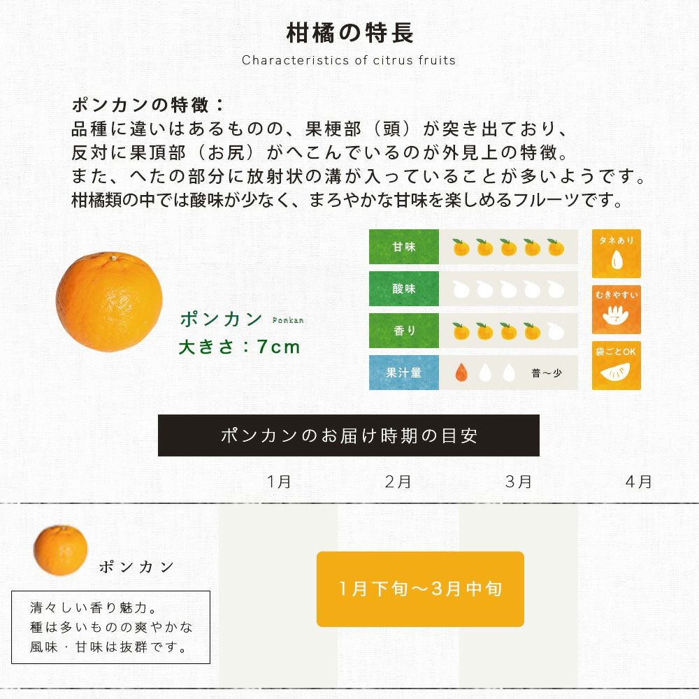 2月上旬より順次発送予定】【春季限定】【順次発送中】ポンカン【家庭