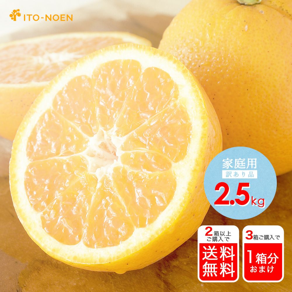 春季限定】きよみ【家庭用(訳あり)】2.5kg | 有田みかん・和歌山県産