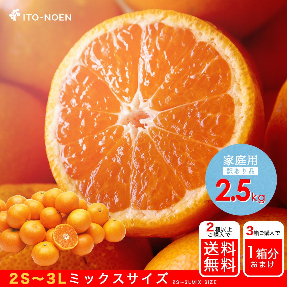 有田みかん 糖度の高い一口サイズみかん　2S　5キロ MaaasaSaka様 0000000025542_2g2dgMX.jpg