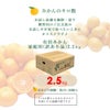 みかんミックスサイズ【家庭用(訳あり品)】2.5kg]