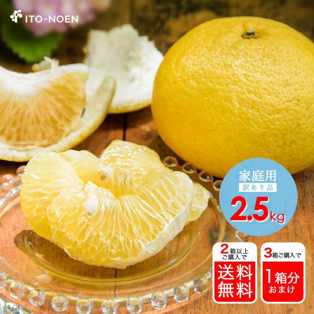 2月中旬より発送予定】【春季限定】甘夏(あまなつ)【家庭用(訳あり品