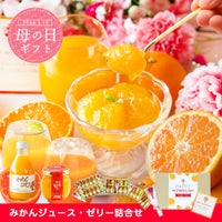 【母の日ギフト】【 ギフト人気No.1 】バラエティセット V-113 100%ピュアジュース180ml×5本・ジュレ4個 (みかんジュース他バラエティセット)