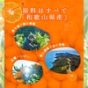 父の日ギフト