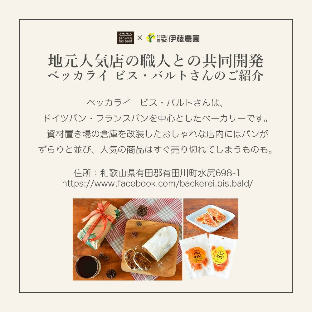 有田みかん シュトーレン 1～3個セット