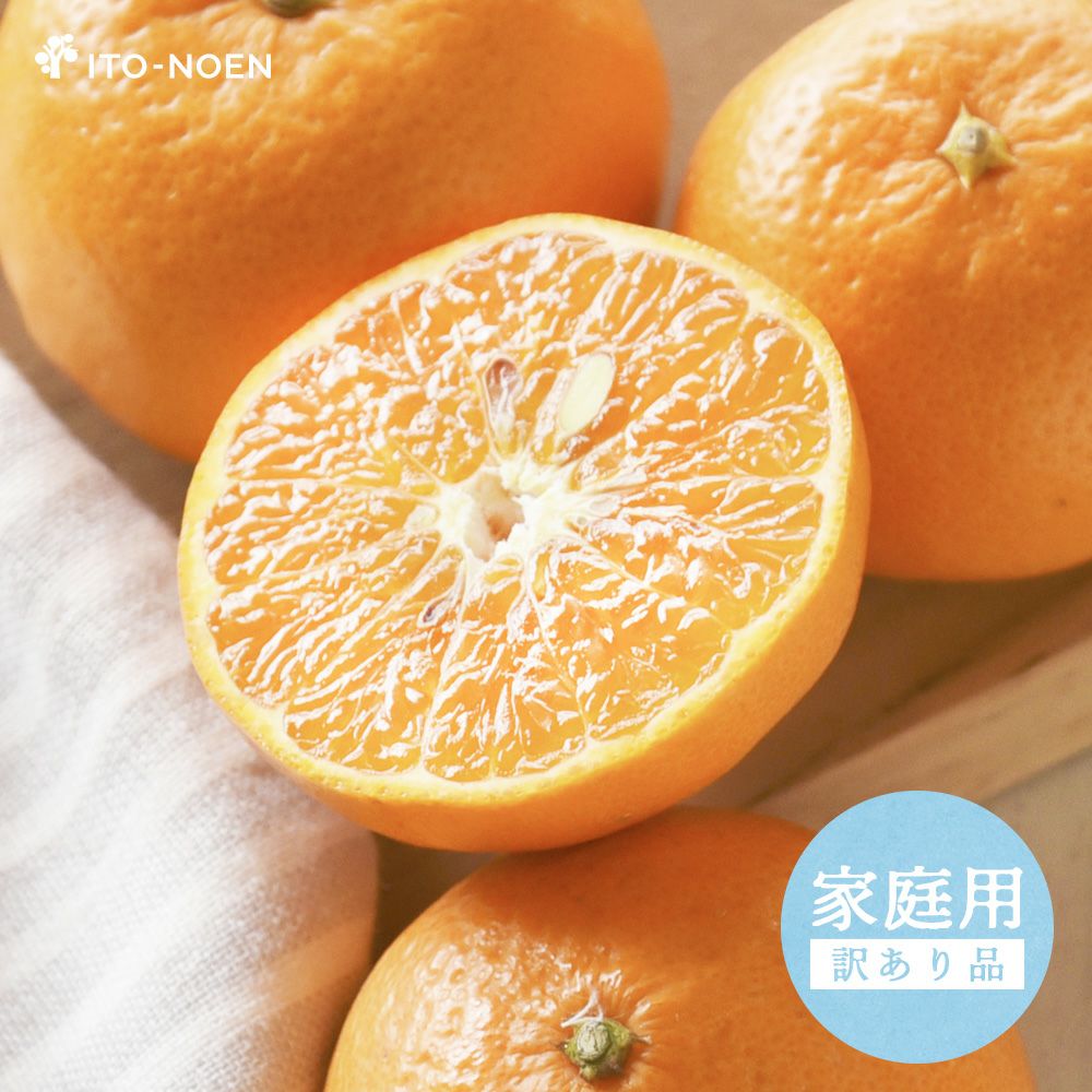 みかん様 ご予約商品・2026年1月中旬よりご発送】青島みかんQueen(クイーン) 5