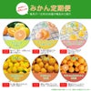 【送料無料】みかん・柑橘の定期便(通常 レギュラーコース)
