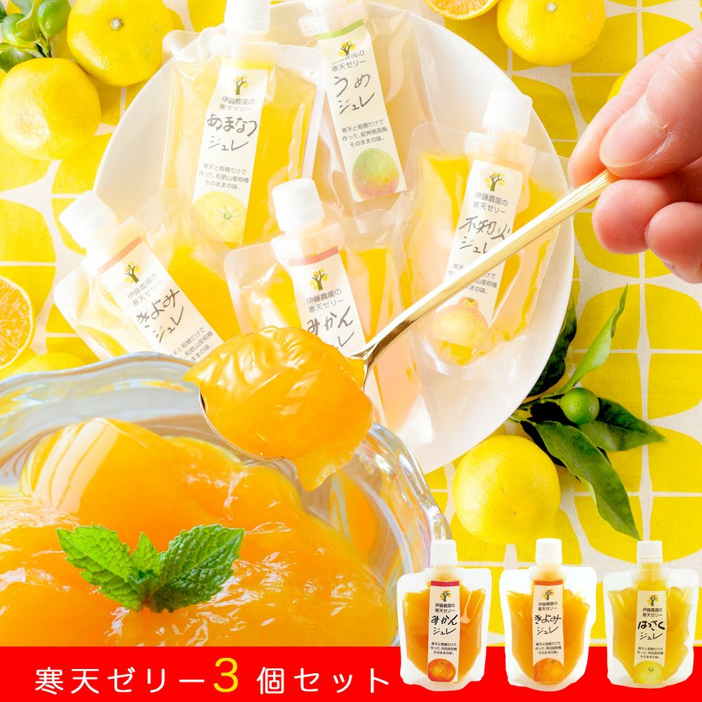 家庭用パウチセット