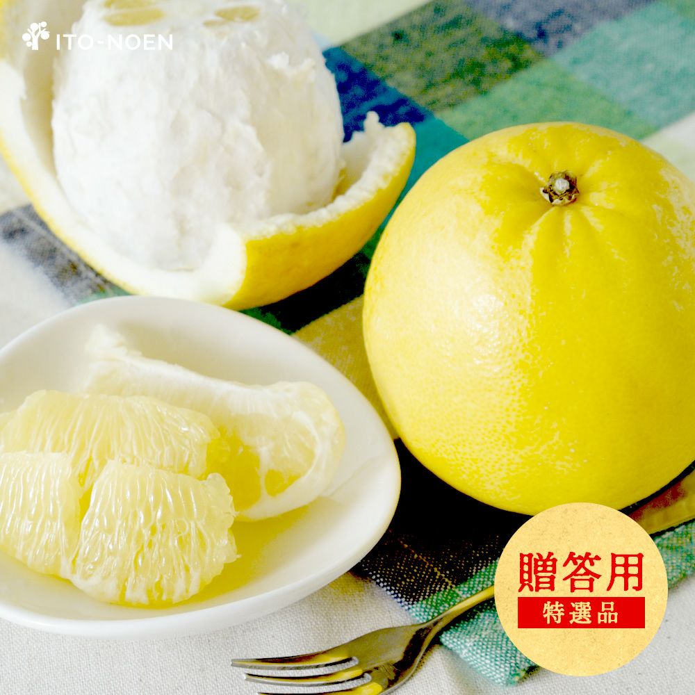 河内晩柑｜Citrus Kawachiensi | 有田みかん・和歌山県産柑橘の青果