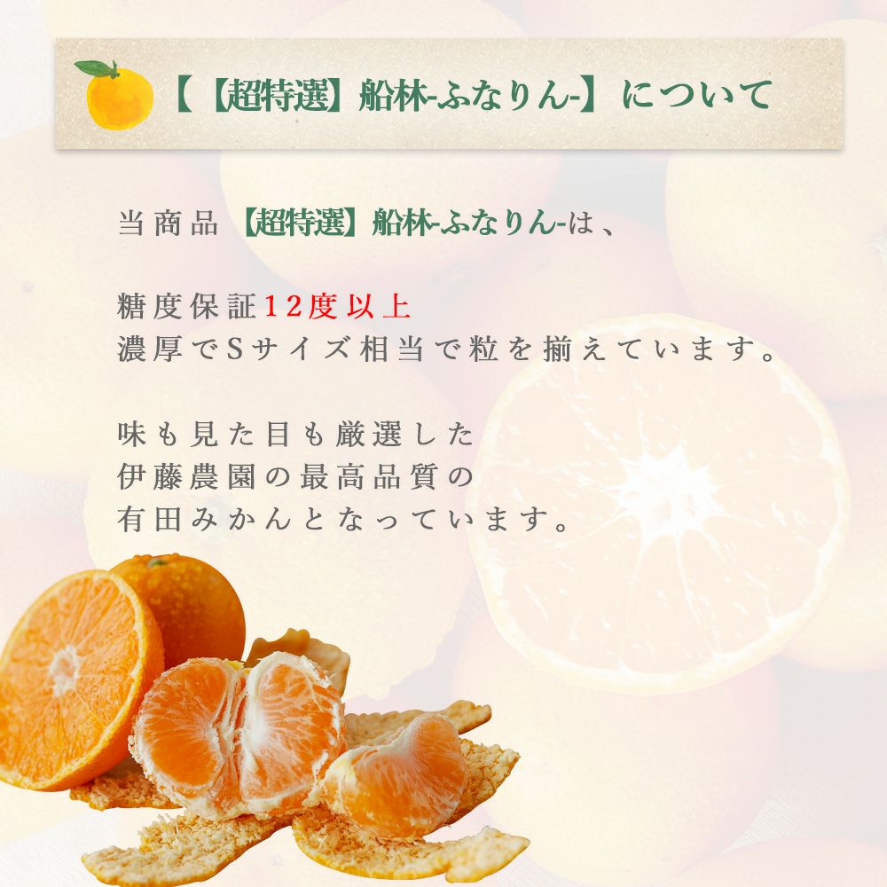 お届け予定が選べる♪｜お届け予定より順次発送予定】有田みかん(温州