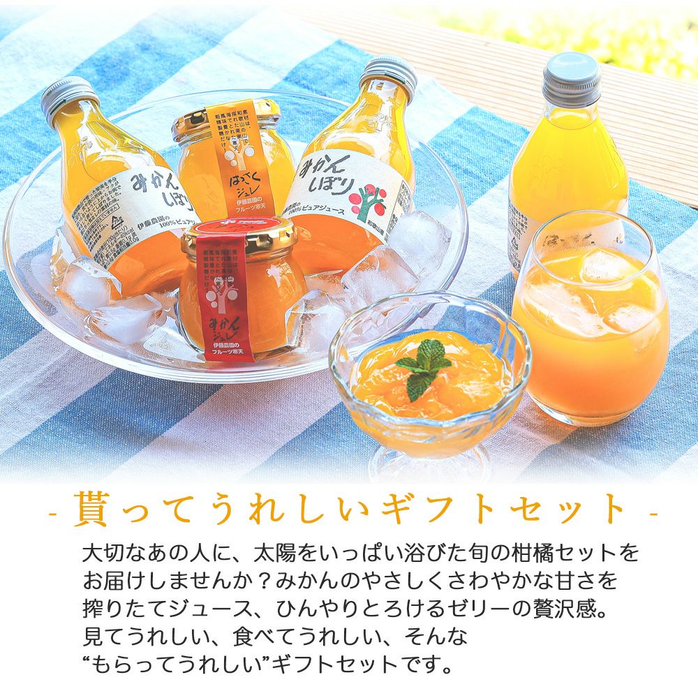 バラエティセット V-113