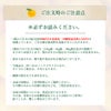 河内晩柑【家庭用(訳あり品)】2.5kg