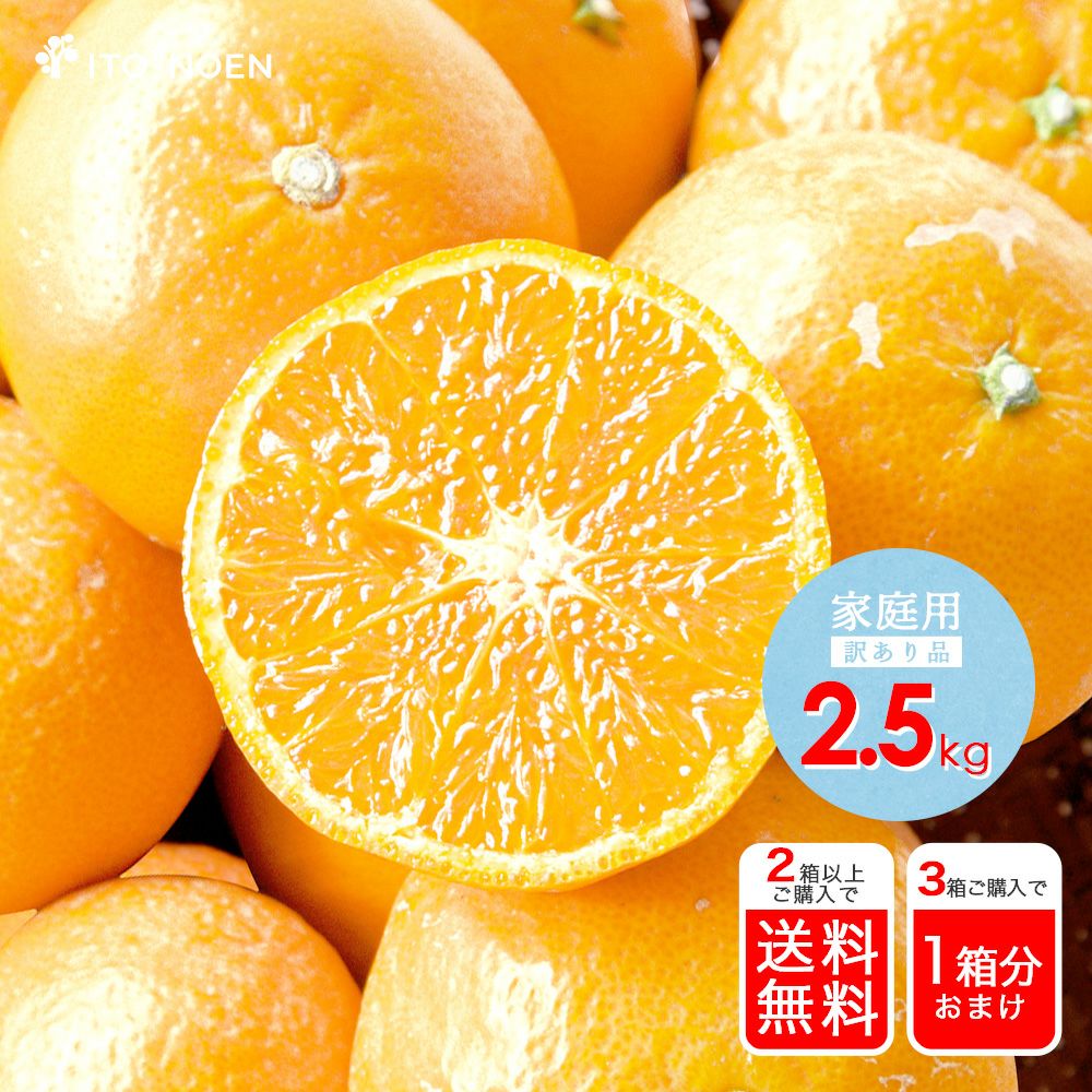 橘 アサヒ飲料 「三ツ矢」特濃オレンジスカッシュ 500ml 1箱（24本入