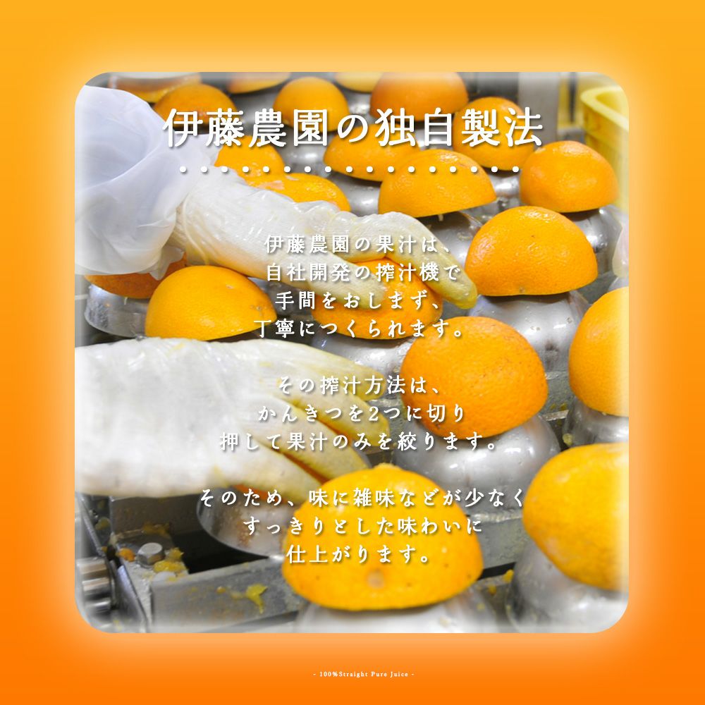 バラエティセット V-045