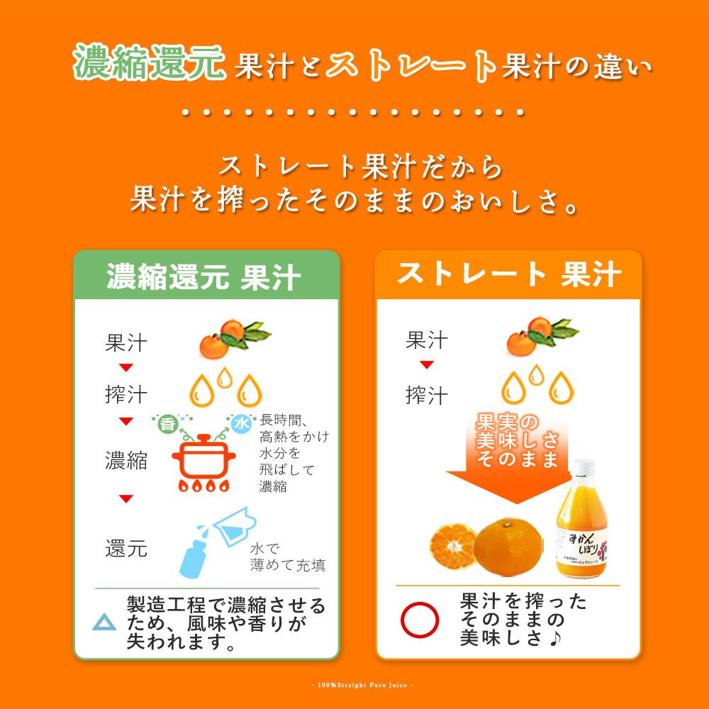 バラエティセット V-045
