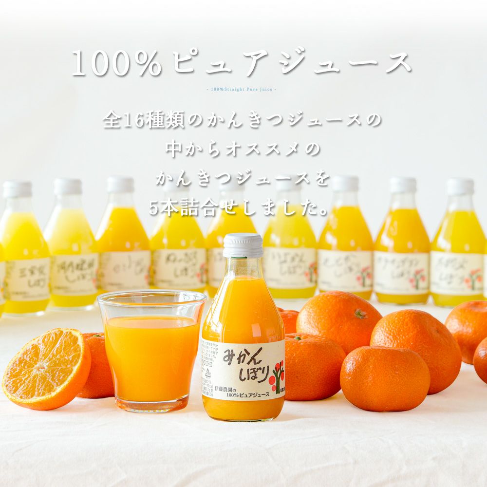 バラエティセット V-045