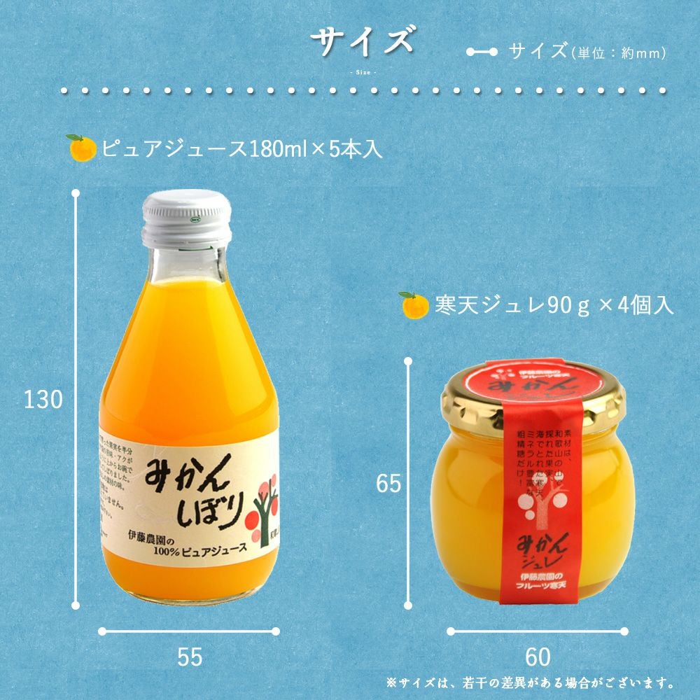 バラエティセット V-045