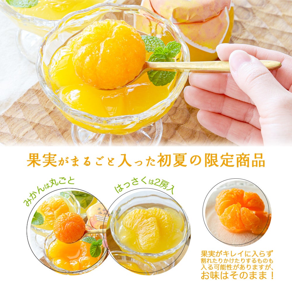 【母の日ギフト2024】ごろっとみかんの実入り寒天ゼリー90g×6個 セット(花・ﾒｯｾｰｼﾞｶｰﾄﾞ付)