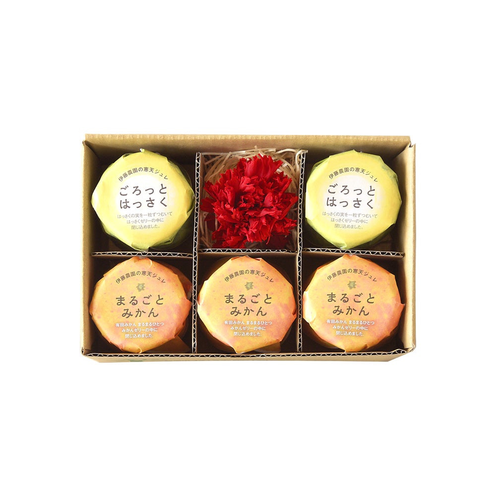 母の日遅れてごめんね！／【母の日ギフト】【初夏限定商品】みかん