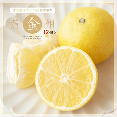 黄金柑【贈答用(特選品)】12個入