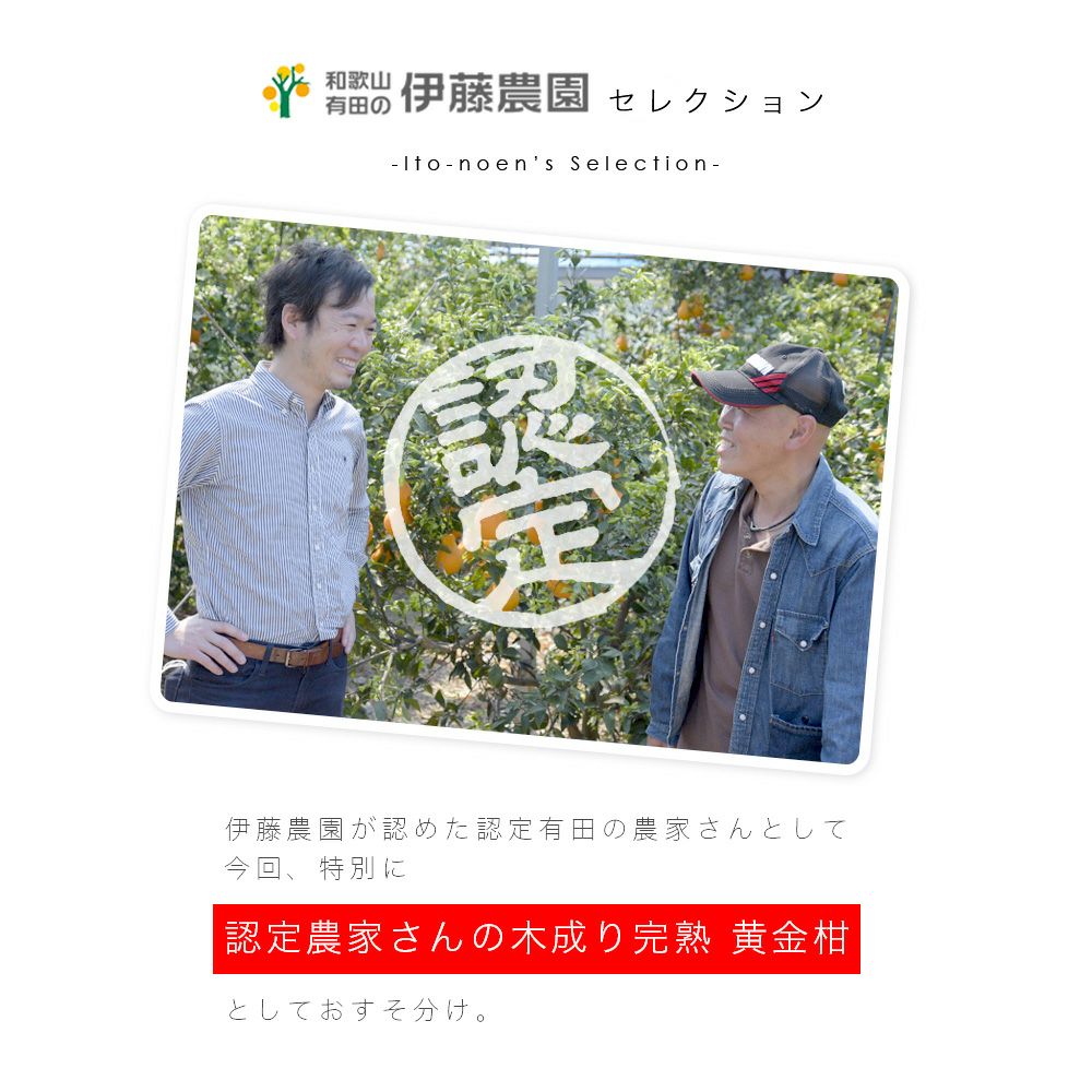 お試しきくちゃんセット(みかんジュース・みかんゼリー・はっさくマーマレード他8点入)