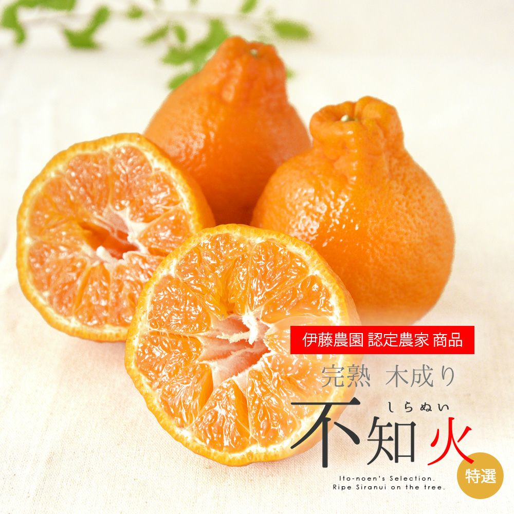 和歌山　不知火　デコポン　小玉　20kg 和歌山産 不知火【デコポン】(6玉×1箱、L～2Lサイズ)【まごころ手選別