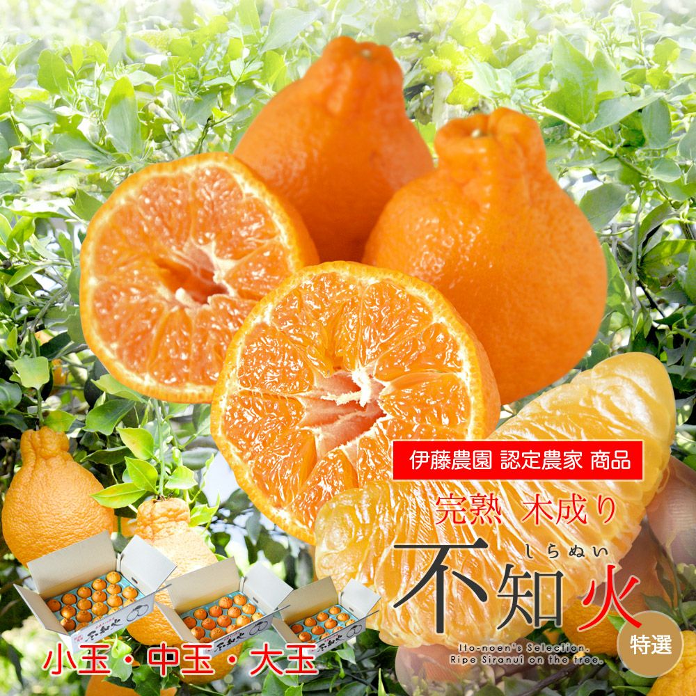 タカシさん専用★完全無農薬★デコポン★食べごろ★小ぶり★家庭用★80サイズ 不知火（デコポン）｜和歌山県産不知火（デコポン）を産直直送・お