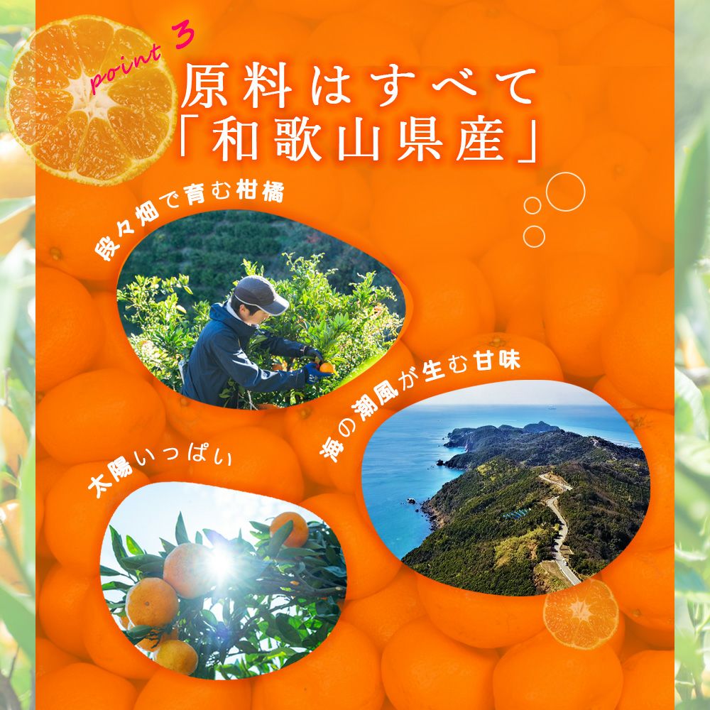 100%ピュアジュースみかんジュース10本オススメセット