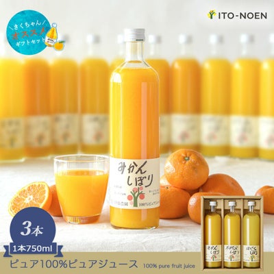 100%ピュアジュース750ml (みかんジュース他オススメセット)×3本セット