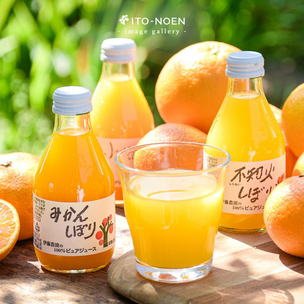 バラエティセット(100%ピュアジュース180ml×4本・パックジュレ4個)V-175 (みかんジュース他バラエティセット)