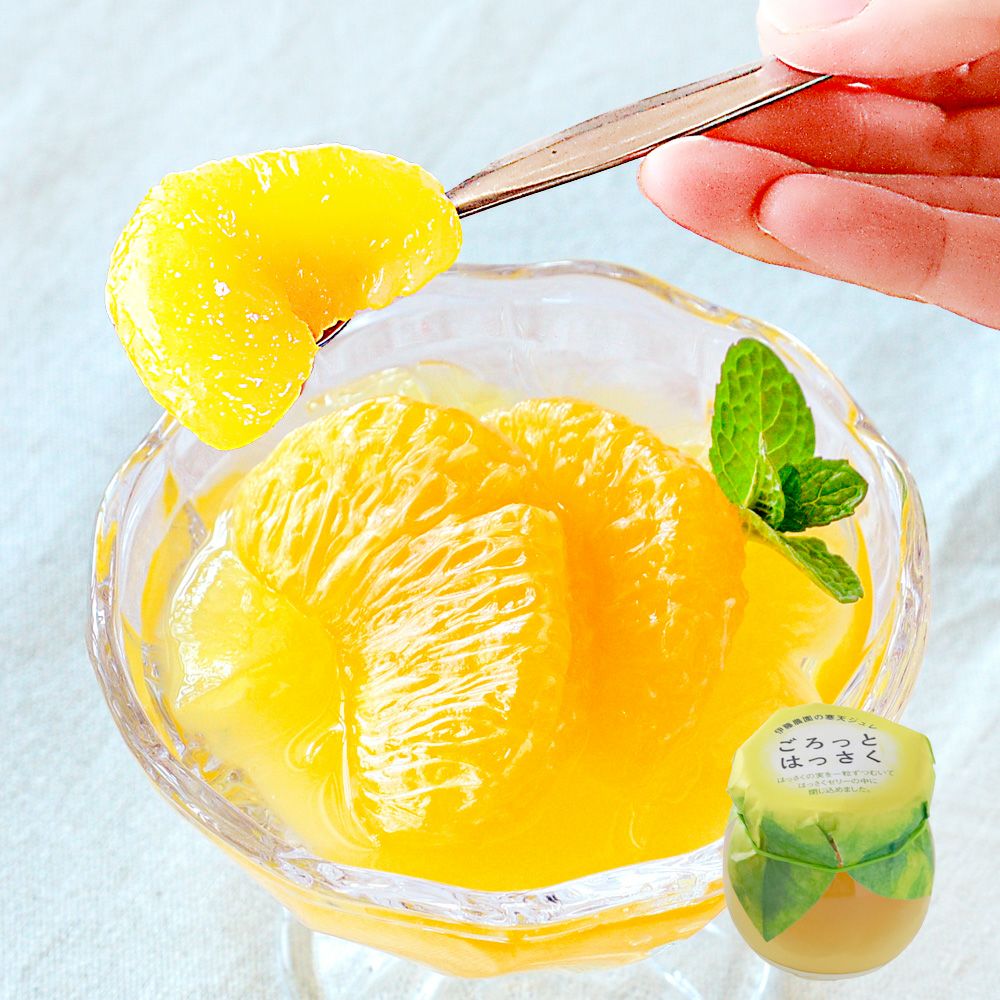 5月上旬より発送予定】【初夏限定商品】【数量限定】まるごとみかん