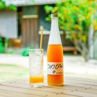 【南高梅シロップ】うめぴゅあシロップ500ml