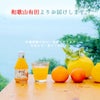 【父の日オリジナル包装】バラエティセット(100%ピュアジュース180ml×4本・寒天ゼリードリンクタイプ×4個) (みかんジュース・ゼリーセット)