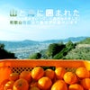 【父の日オリジナル包装】バラエティセット(100%ピュアジュース180ml×4本・寒天ゼリードリンクタイプ×4個) (みかんジュース・ゼリーセット)