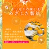 ピュアフルーツ寒天ゼリー6個・8個・9個・12個(みかんゼリーおすすめセット)