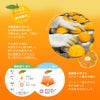 ピュアフルーツ寒天ゼリー6個・8個・9個・12個(みかんゼリーおすすめセット)