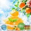 寒天ゼリー90g(みかんゼリー他5種オススメセット)×12個 風呂敷付セット