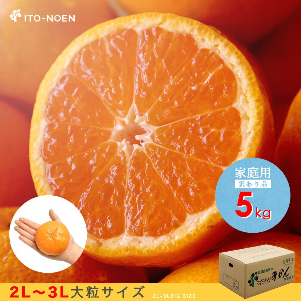【家庭用】＼１日5ケース限定／本場有田みかん 10kg 小玉サイズ 送料無料 春季限定】せとか 【家庭用(訳あり)】5・10kg | 有田みかん・和歌山県