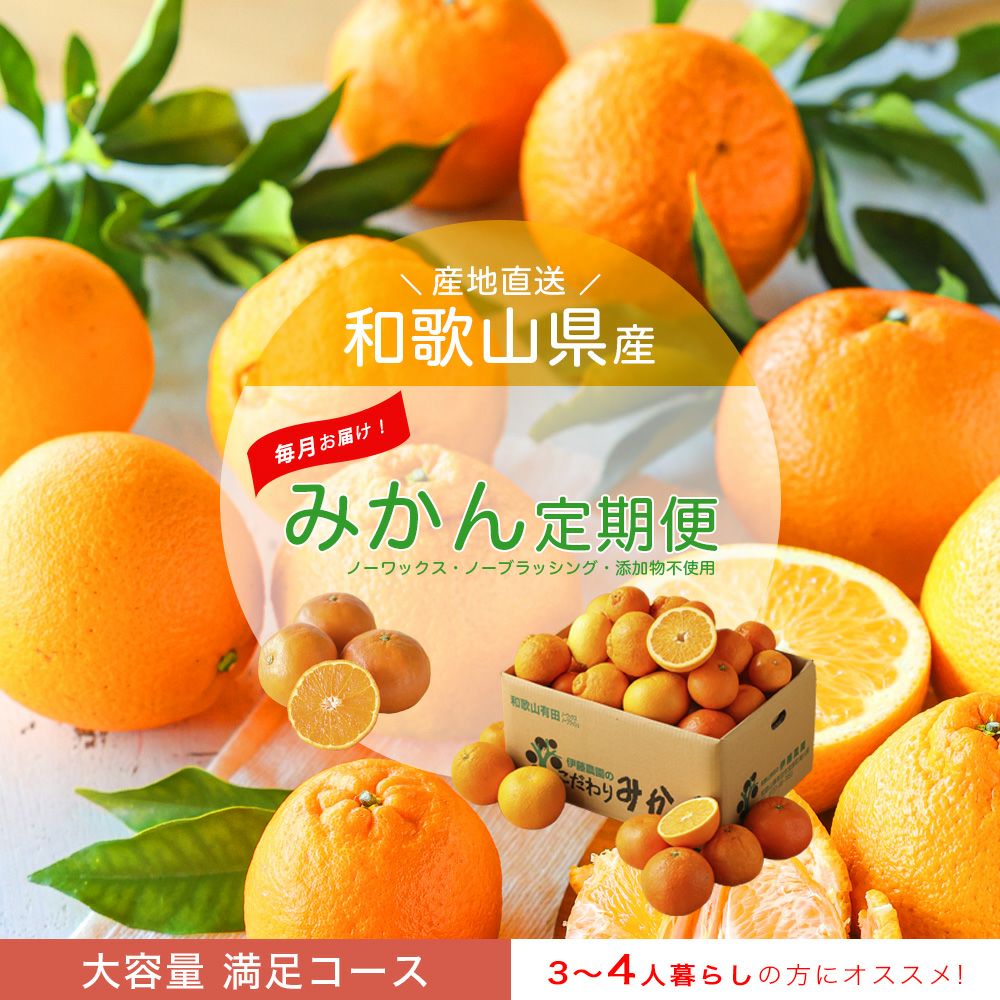 定期便 ラージ
