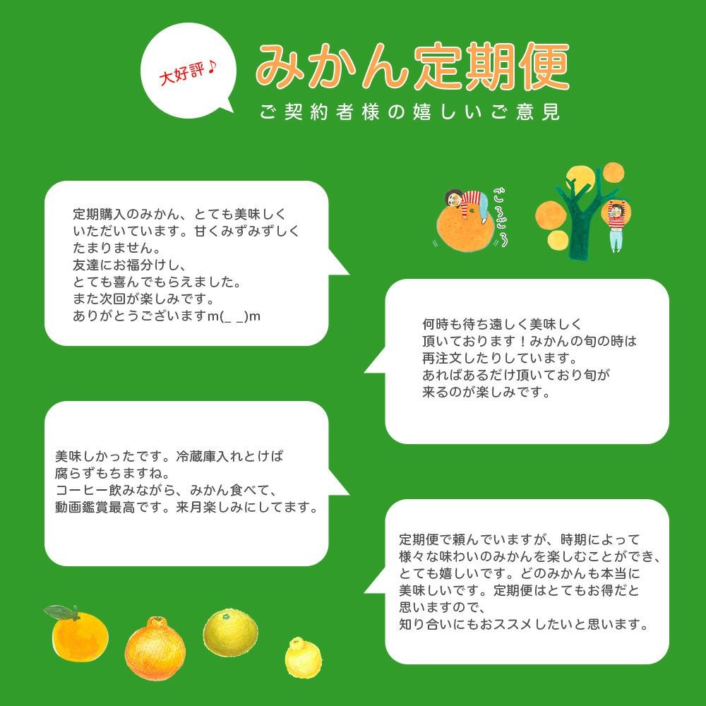 【送料無料】みかん・柑橘の定期便(大容量 満足コース)