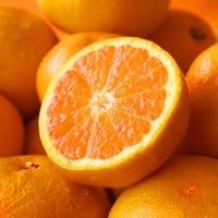 【送料無料】みかん・柑橘の定期便(大容量 満足コース)