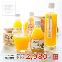 お試しきくちゃんセット(みかんジュース・みかんゼリー・はっさくマーマレード他8点入)
