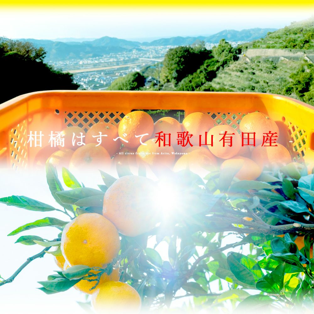 日々かんきつ酢