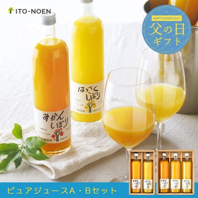 【父の日プレゼント・ギフト2024】100%ピュアジュース750ml (みかんジュース他オススメセット)×3本セット