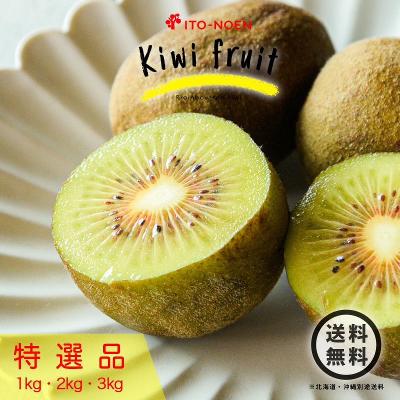 キウイ様 Kiwi XI - YouTube