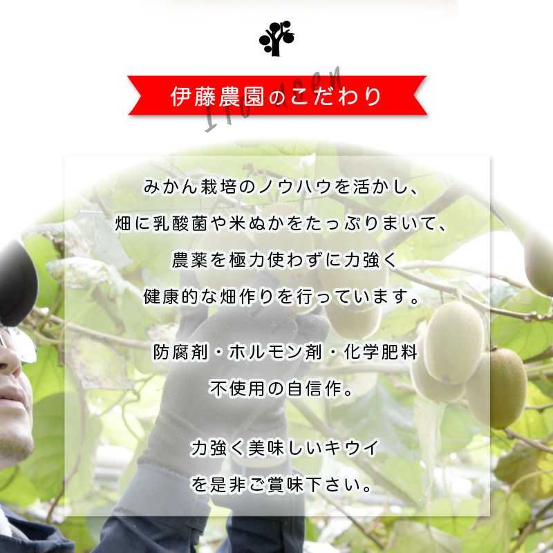 特選キウイ[レインボーレッド]