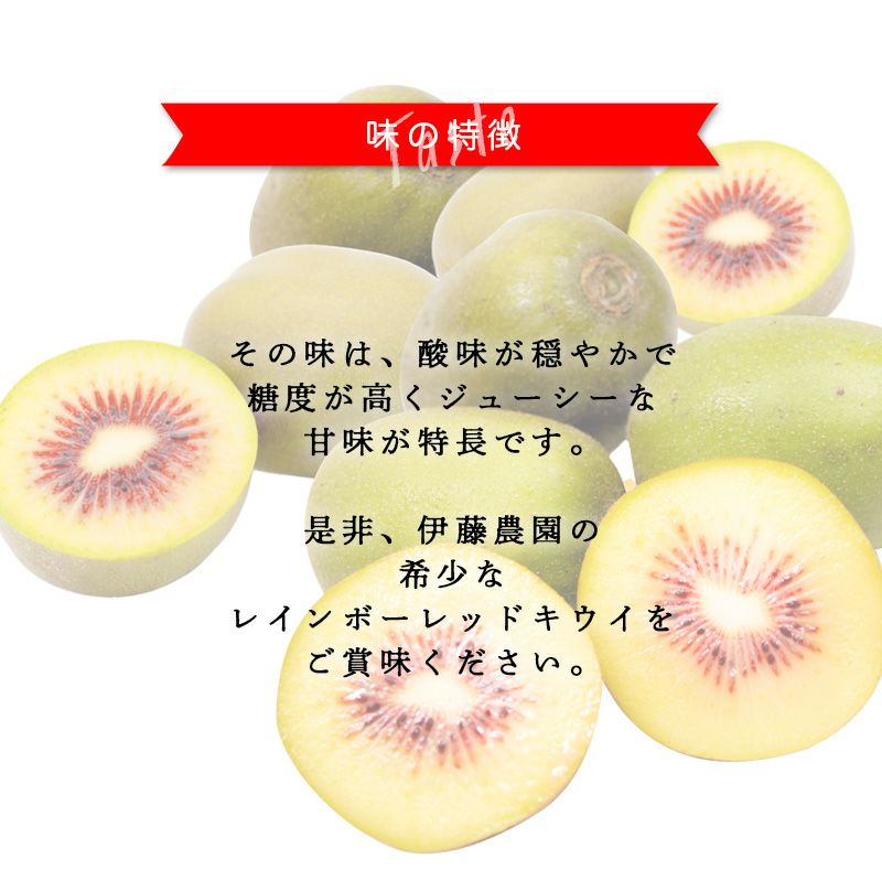 特選キウイ[レインボーレッド]