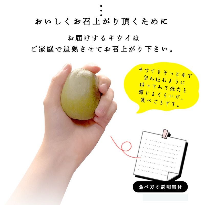 特選キウイ[レインボーレッド]