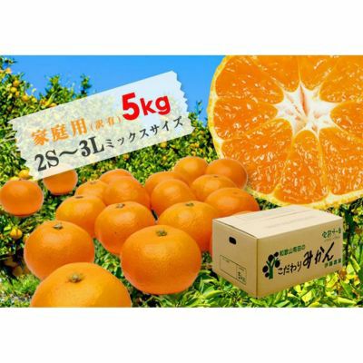 2023年1月5日以降に発送】【12月中旬順次発送予定】 【30個限定
