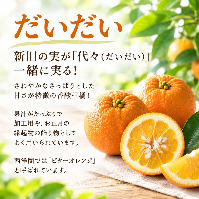 寒天ゼリー90g（だいだいジュレ）6個セット
