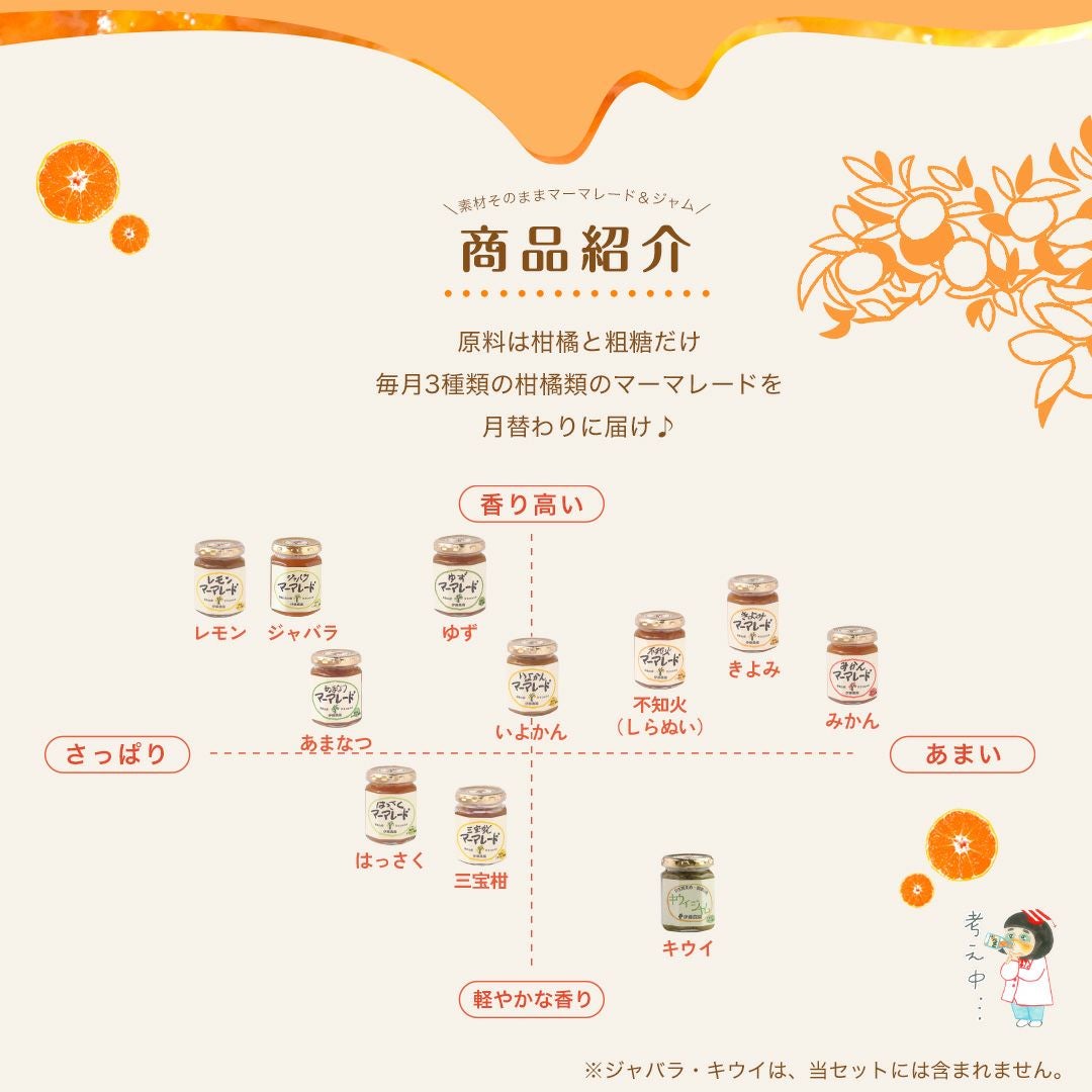 【3ヶ月お試し定期便】マーマレード&ジャム×3個入り(毎月3種類お届け♪全9種類が味わえる定期便)